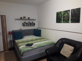 Apartment AP 1 im Zentrum Steyr, BESTROOMS eU